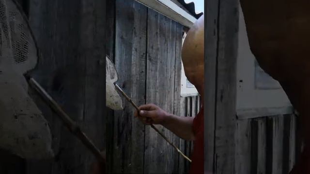 Рыбалка сачком дома смотреть онлайн