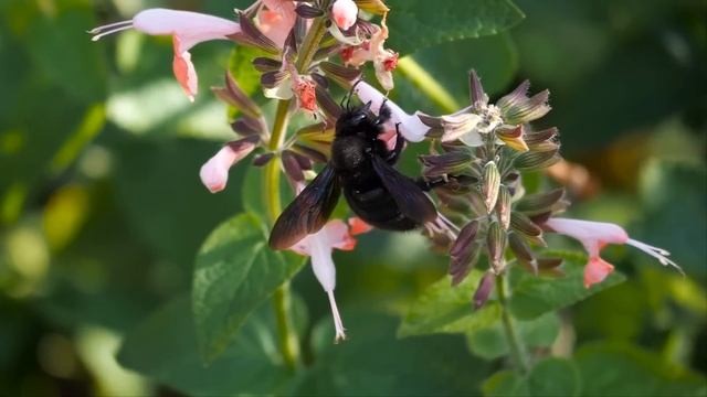 Мамочка я больше так не буду! плакал приемный сын когда я в ярости связала его. А после я заставил