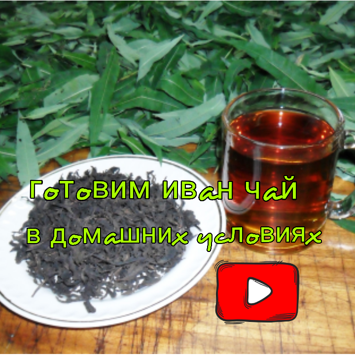 Рыбалка и охота в Тверской губернии