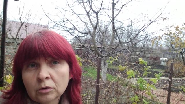 28 НОЯБРЯ-НА ВЕЧЕР ПОЯВИЛСЯ ИНТЕРНЕТ) смотреть онлайн