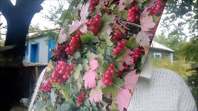 Я в шоке. Что творится. КУДА МЫ КАТИМСЯ. смотреть онлайн