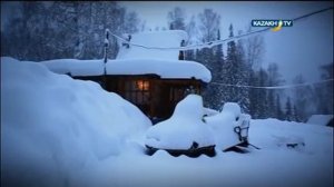 Охота на росомаху