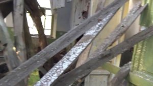 Барская усадьба заброшенная в лесу  В поисках золота с Дмитрием Мусихиным