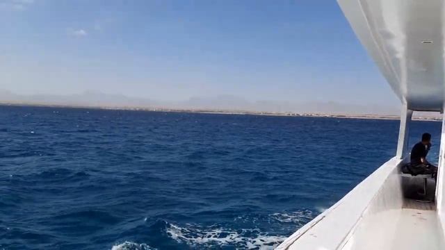 ALBATROS BEACH CLUB ABU SOMA / Морская прогулка? смотреть онлайн