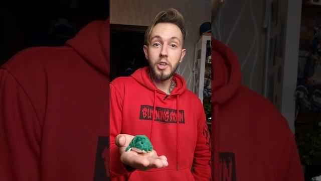 ПЯТЬ СЛОВ | Магическая лягушка смотреть онлайн