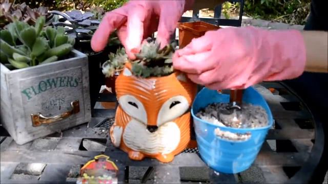 Art with Succulents-DIY FOX Planter and Hens and Chicks (Animal Planter) смотреть онлайн
