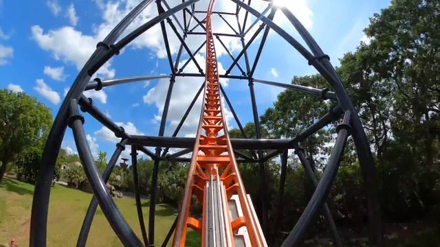 Every Roller Coaster at Busch Gardens Tampa! 4K Onride POV смотреть онлайн