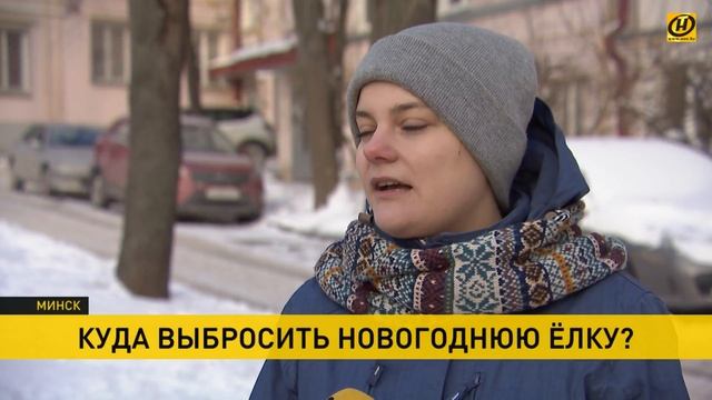 Как поступить с живой новогодней елью после праздников? смотреть онлайн