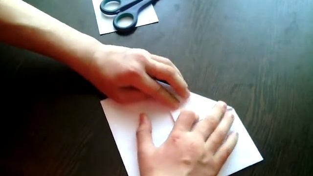 Как сделать лягушку смотреть онлайн