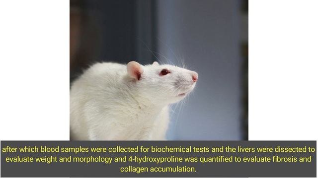 Effects of CTHepaB, a Traditional Vietnamese Medicinal Formulation, on the Treatment of Cirrhosis смотреть онлайн