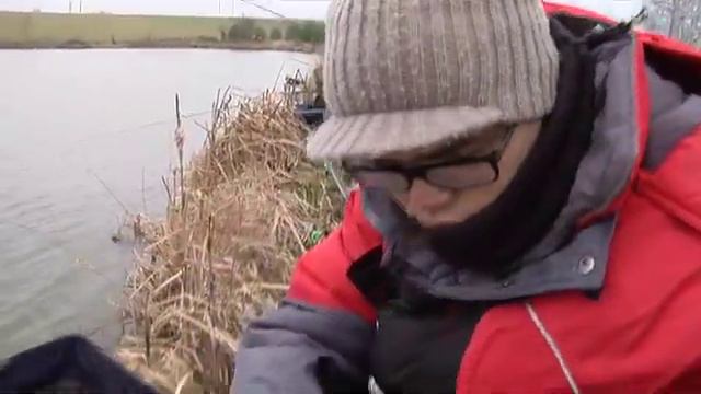 Cоревнования по донке смотреть онлайн