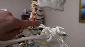 VLOG Как мы готовились к Настиному дню рождения