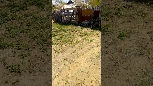 почему не пашу рано. смотреть онлайн