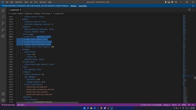 Minecraft Server 1.19 | purpur.yml Configuration Detail | Hindi - Ep5 смотреть онлайн