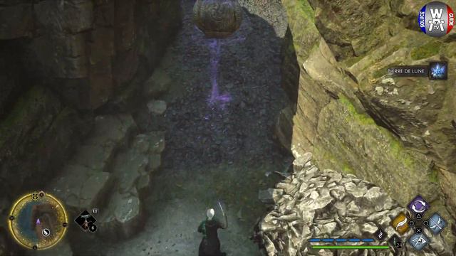 Hogwarts Legacy : l'Héritage de Poudlard - POINTE DU MANOIR - 100% Coffres, Pages, Demiguises смотреть онлайн