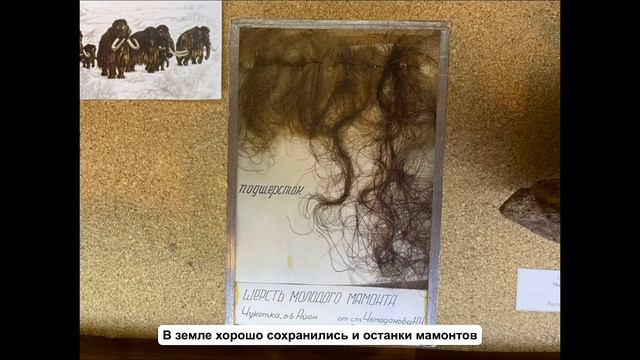 Геологический музей в Москве смотреть онлайн