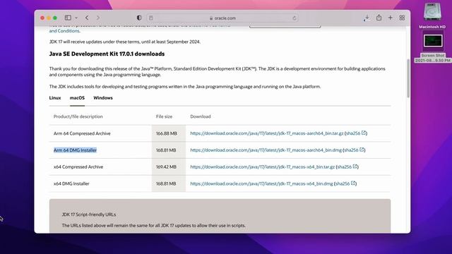 Install Java on MacBook Pro M1 chip смотреть онлайн