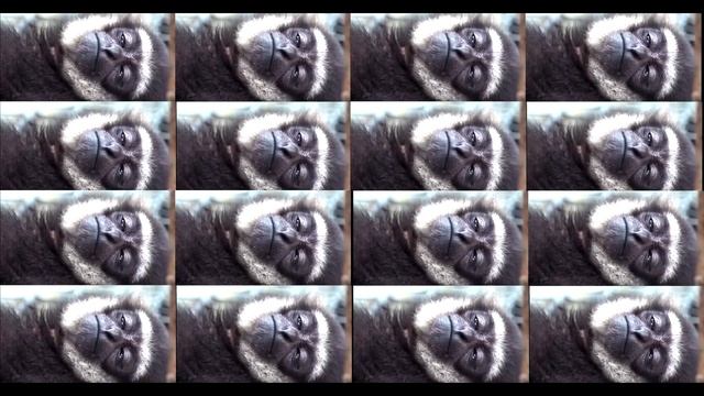 Я поиграл в HighFleet, так что и вам придется