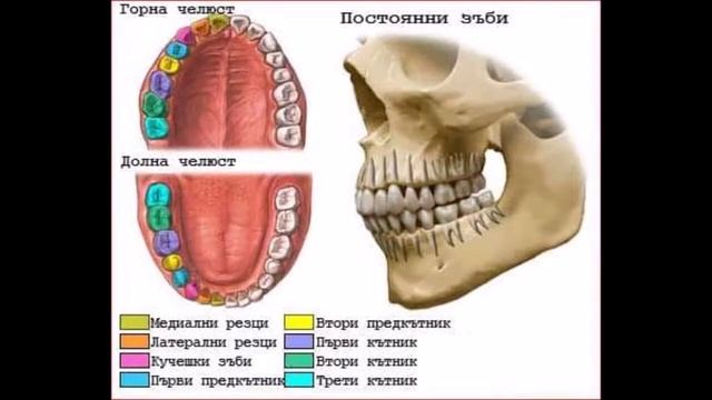 Hranosmilatelna_sis_9_2020_eg