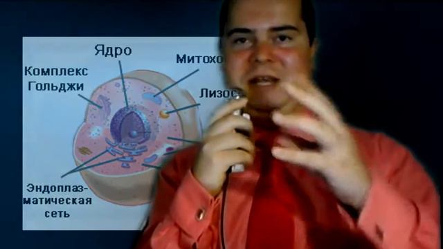 ЦИТОПЛАЗМА смотреть онлайн