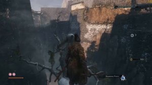 Где найти все инструменты для протеза в Sekiro: Shadows Die Twice Достижение Мастер протеза