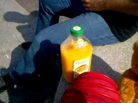 Видео0022 смотреть онлайн