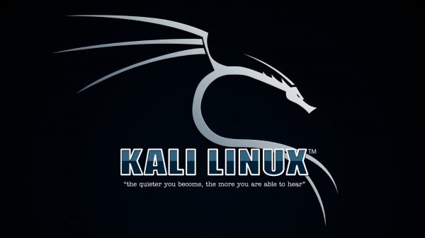 Урок 4 Как лучше установить Кали Линукс  (Kali Linux полный курс)