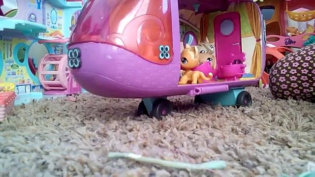 pet shop island vacation part 2 смотреть онлайн