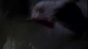 Планета земля. 5 серия. Документальный фильм о природе