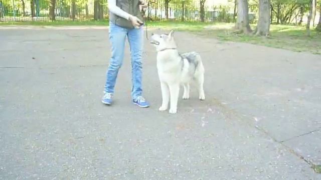 Снежный Ангел Магнат(Скай) смотреть онлайн