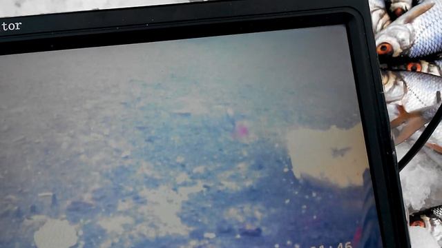 Сьемка самодельной 291. камерой смотреть онлайн