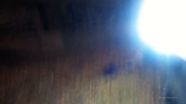 Лук севок - Штутгартер Ризен смотреть онлайн