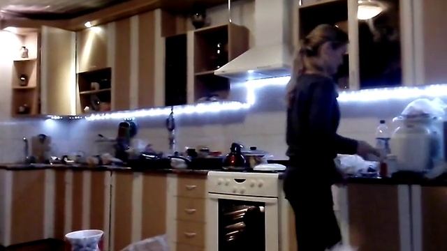 Хаска делает отжимания по команде! смотреть онлайн