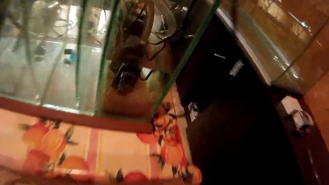 Стройка аквариума 300- литров смотреть онлайн