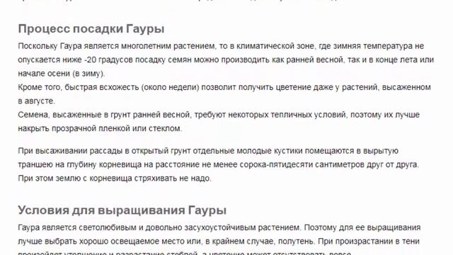 Гаура Красивые растения для дома и сада смотреть онлайн