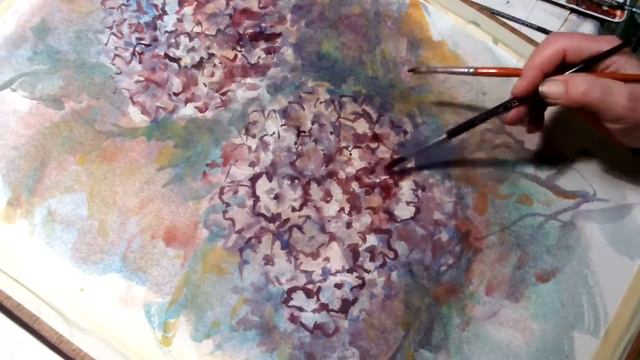 Hedwig's Art Hydrangea  In Watercolor