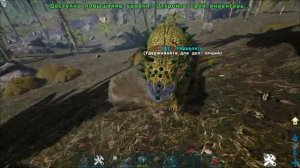 ТОП 5 ДИНО ДЛЯ НОВИЧКОВ в ARK Survival Evolved! ЛУЧШАЯ ЖИВКА ДЛЯ СТАРТА В АРК!
