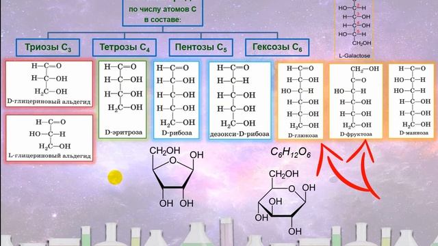 50. Углеводы (часть 1)