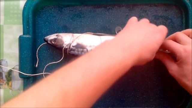 Чистка без границ