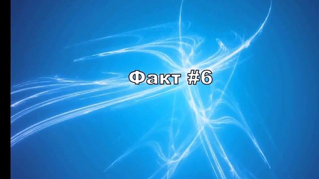 10 фактов про черепах смотреть онлайн