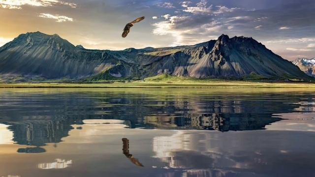 Истории из жизни. Нелюбимый муж. Жизненные истории. Интересные истории. Душевные истории. смотреть онлайн