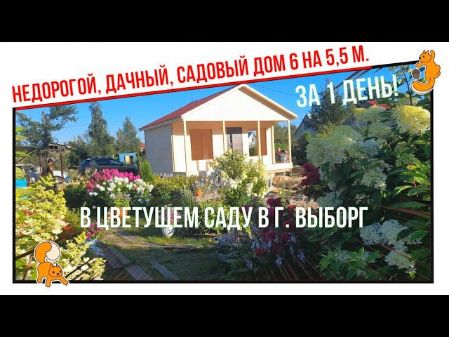 Построили недорогой, дачный, садовый дом 6 на 5,5 м. за 1 день! В цветущем саду в г. Выборг. смотреть онлайн