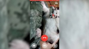 Мой щенок