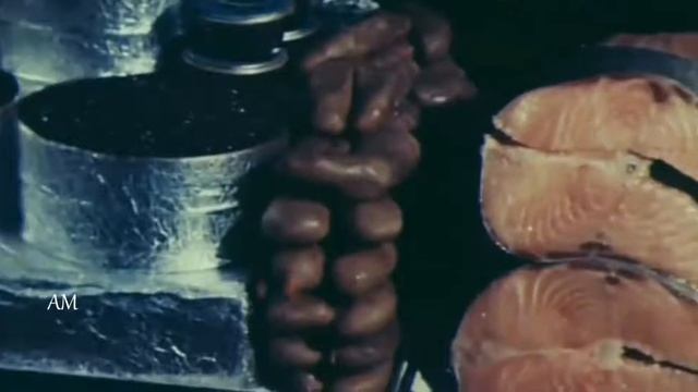 Маленький принц -- Кто тебя выдумал, звездная страна?