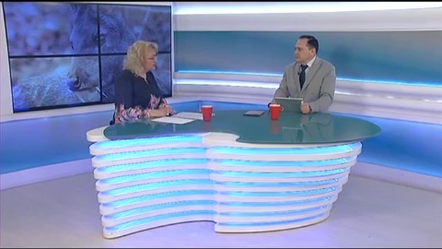 В Год экологии на Алтае готовится к переизданию региональная «Красная Книга»