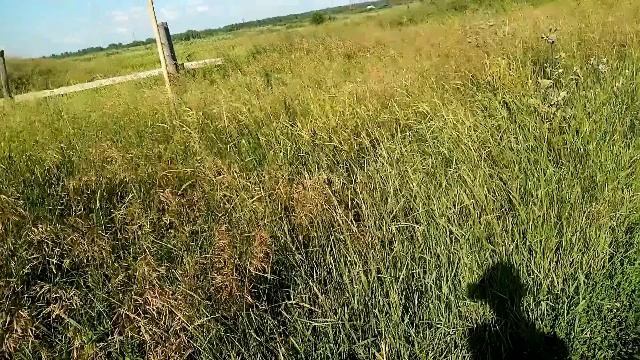 ПОЕЗДКА В большую ГРЯЗНУХУ смотреть онлайн