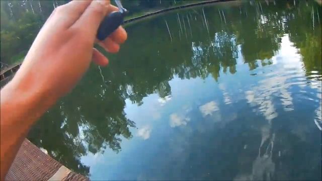 Ловля форели на спиннинг. Поимки на силикон до запуска. Клёвое место, Лосиный остров смотреть онлайн