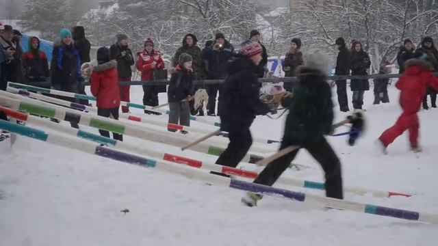 Праздничная детская игра, стойла (ШВЕ Династия) смотреть онлайн