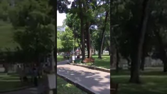 Утро в парке Хошимина смотреть онлайн