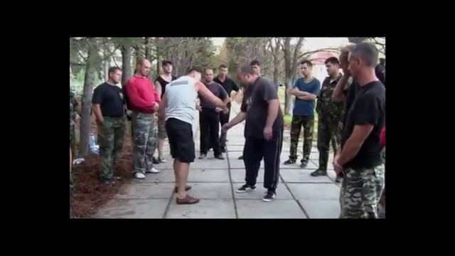 Удары и воздействия на болевые  точки . Пара сил . А . Соловьёв